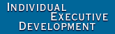 Individual Executive Development